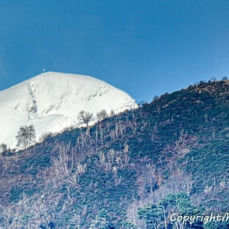 Appartamento Il Viale Massa  Esterno foto